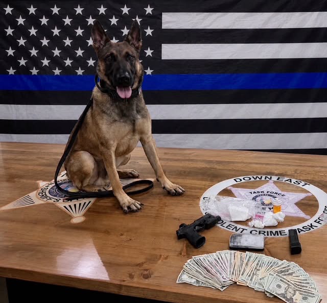 NHCSO K9 Trigger w: seizure 9:2:26